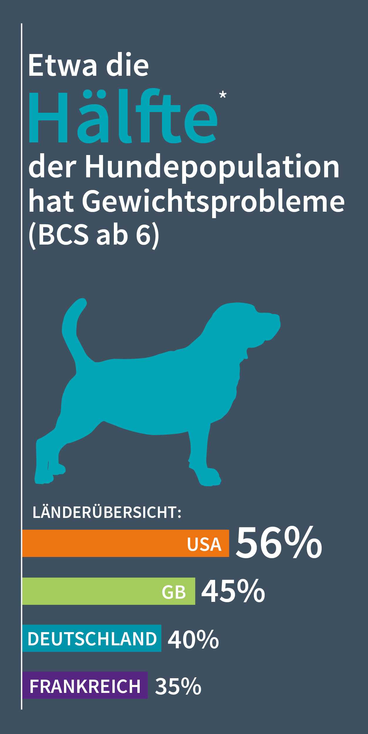 &Uuml;bergewicht bei Hunden - Infografik 1