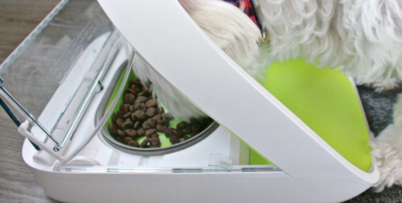 Fatty the dog eating from the SureFeed Microchip Pet Feeder Fatty the dog eating from the SureFeed Microchip Pet Feeder